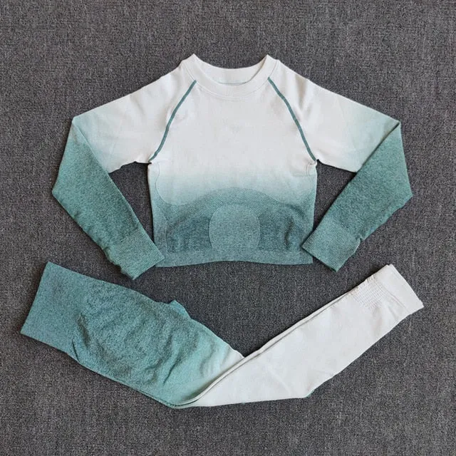 2PCS Ombre Seamless Women Sports Suit