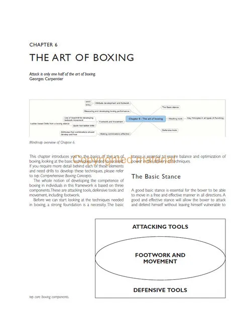 Advanced Boxing