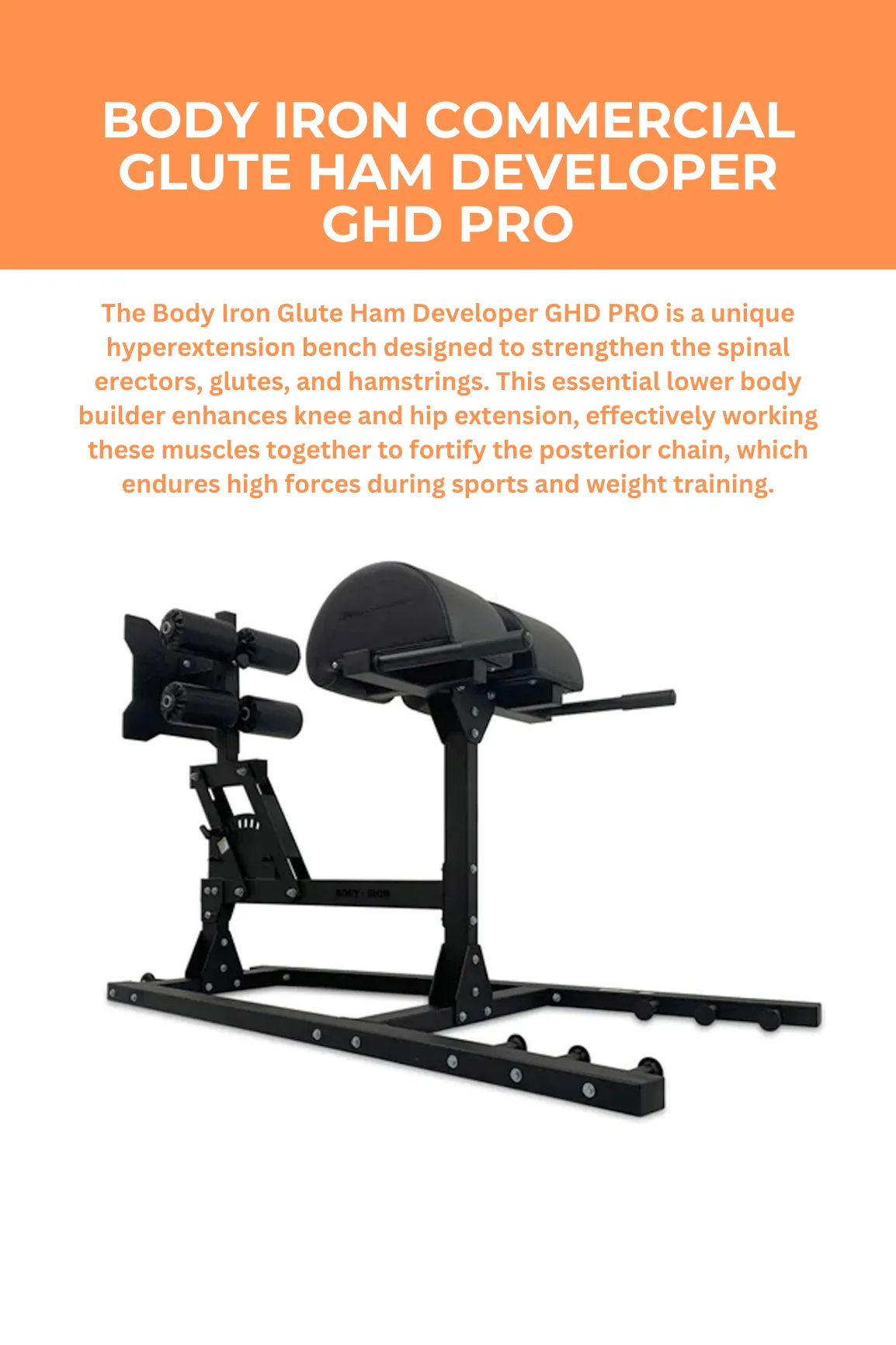 Body Iron Commercial Glute Ham Developer GHD Pro