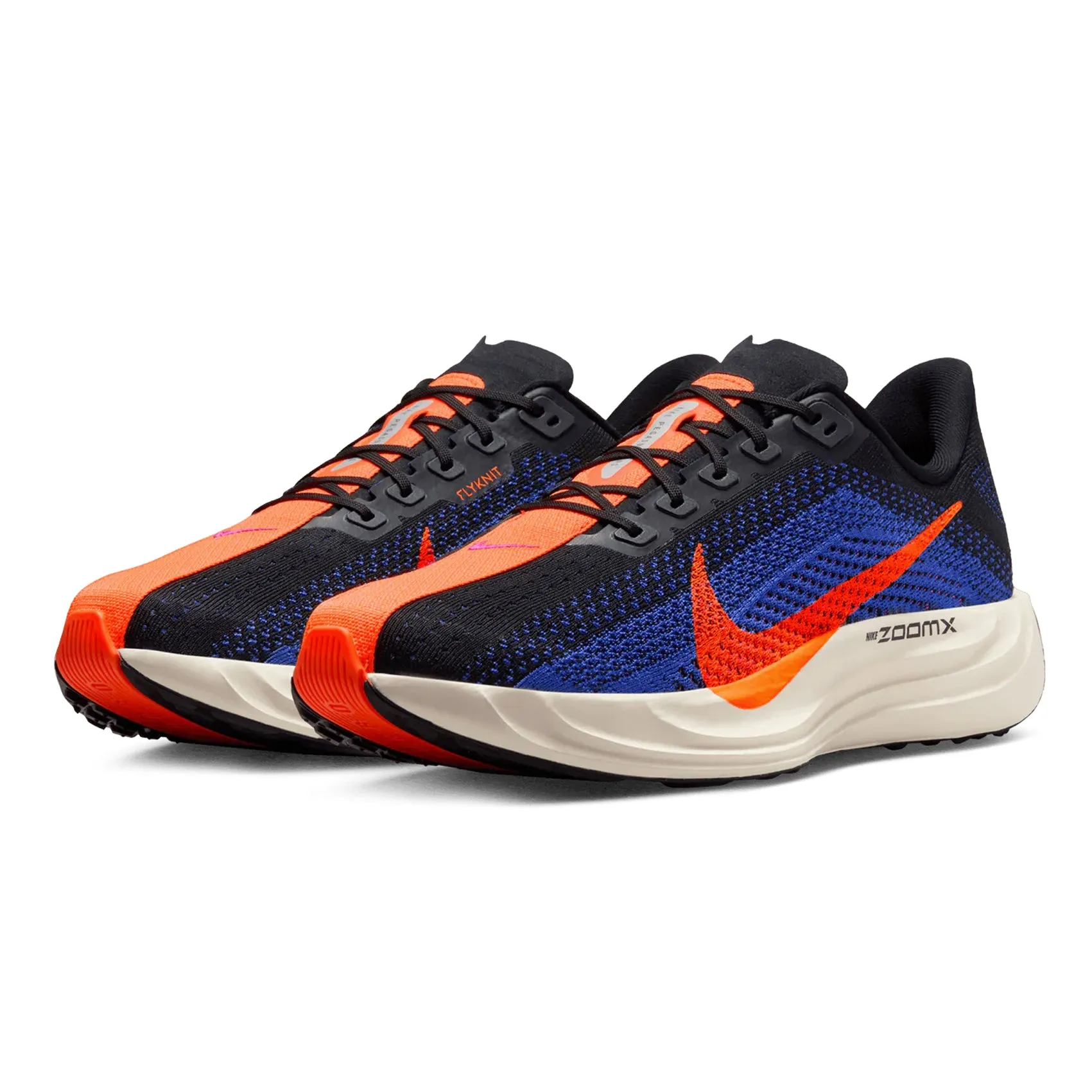 Mens Nike Pegasus Plus