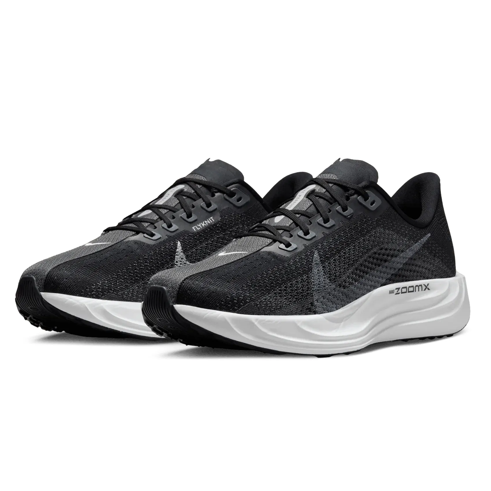 Mens Nike Pegasus Plus