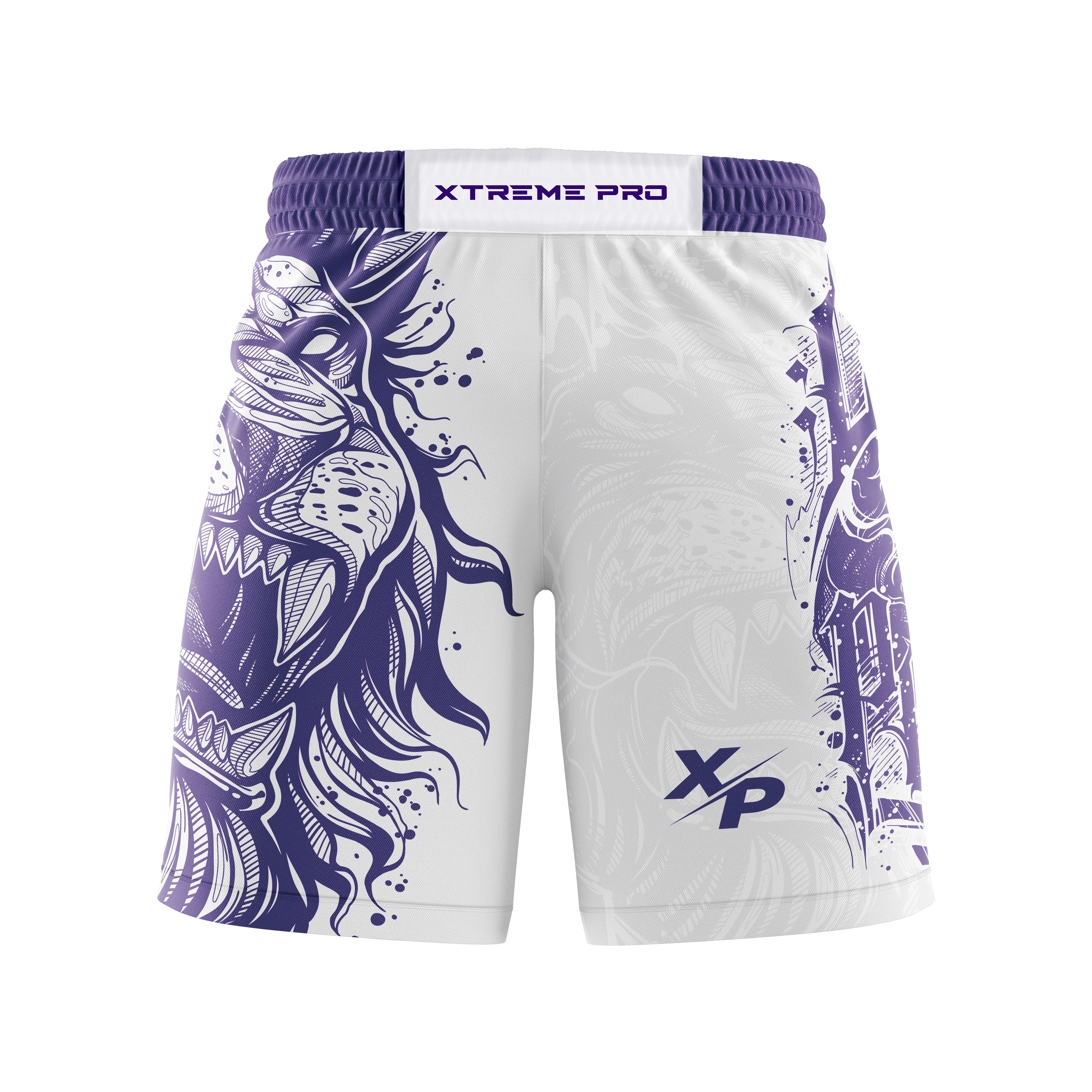 "Lion Power" Fight Shorts